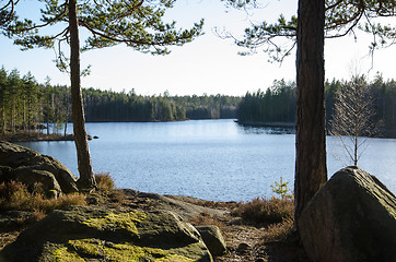 Image showing Rocks and tree trunks by lakeside