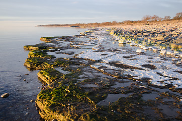 Image showing Colorful flat rock coast