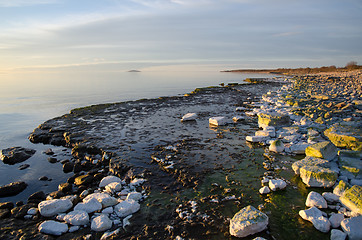 Image showing Evening light colors by a flat rock coast