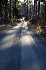 Image showing Gravel road through a coniferous forest