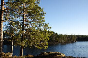 Image showing Small lake in the woods