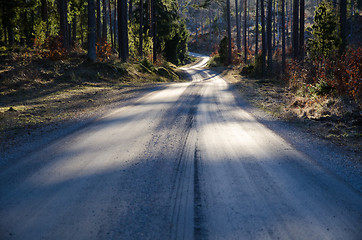 Image showing Gravel road in a coniferous forest at spring