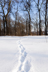 Image showing path in the snow 