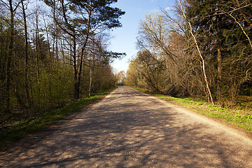 Image showing Spring road, countryside  