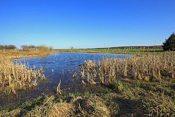 Image showing small lake ,  summer 