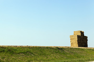 Image showing Stack of straw, wheat  