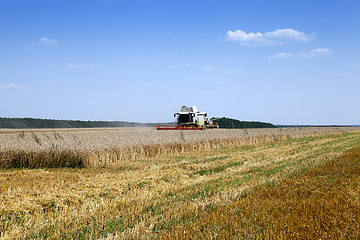 Image showing Harvester in the field  