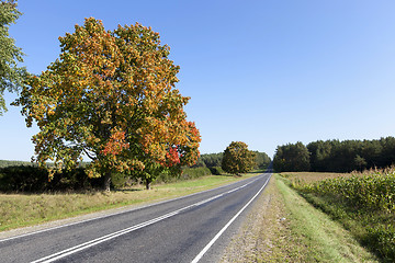 Image showing   road , autumn season