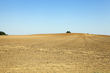 Image showing plowed agricultural field 