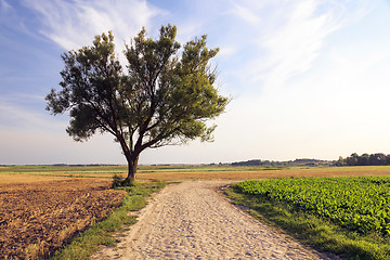 Image showing Spring road , countryside  