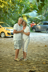 Image showing elderly couple rest at tropical resort