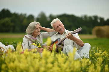 Image showing Senior couple with guitar at summer field