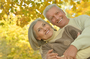 Image showing Senior couple in autumn park