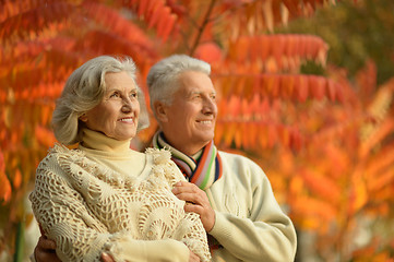 Image showing Senior couple in autumn park