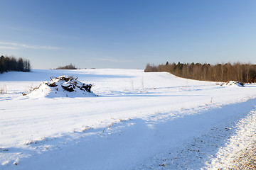 Image showing snow covered field  