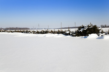 Image showing snow covered field  