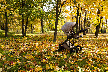 Image showing stroller   in autumn season