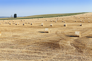 Image showing haystacks in a field of straw  