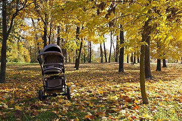 Image showing pushchair ,  autumn season.