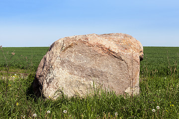 Image showing stone in the grass  