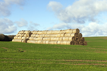 Image showing haystacks piled straw  