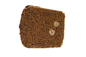 Image showing mold on bread  