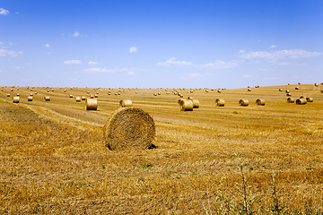 Image showing stack of straw in the field 