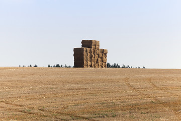 Image showing square stack straw  