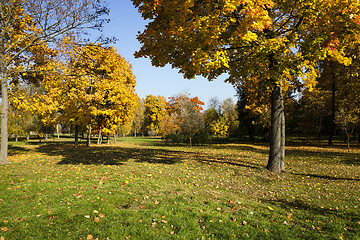 Image showing autumn forest ,  Belarus