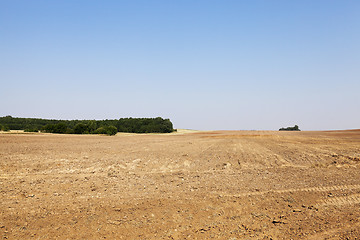 Image showing plowed agricultural field 