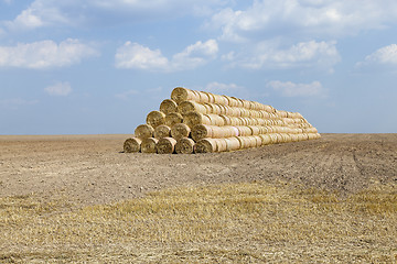 Image showing cereal harvest, summer 
