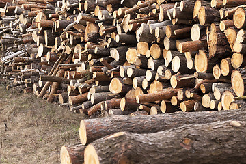 Image showing harvesting hardwood. logs  