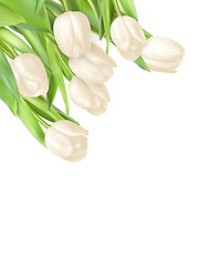 Image showing Tulips decorative background. EPS 10