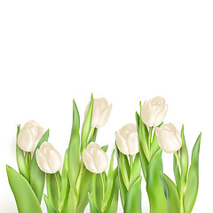 Image showing Tulips decorative background. EPS 10