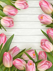 Image showing Fresh pink tulips. EPS 10 