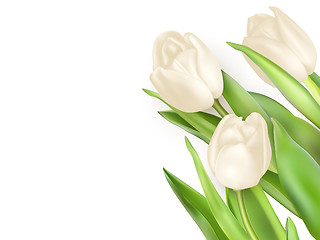 Image showing Tulips decorative background. EPS 10