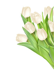 Image showing Tulips decorative background. EPS 10