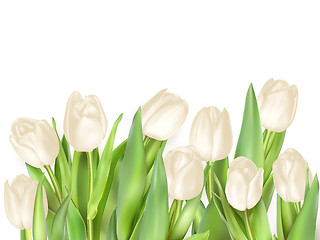 Image showing Tulips decorative background. EPS 10