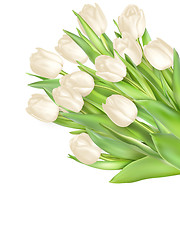 Image showing Tulips decorative background. EPS 10