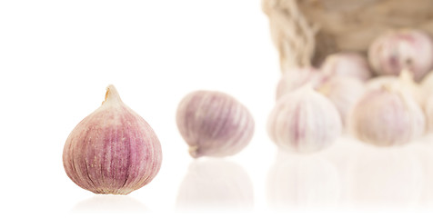 Image showing Raw garlic (small) isolated