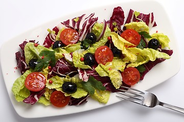 Image showing Salad with radicchio.