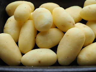 Image showing Potato vegetables in a tub