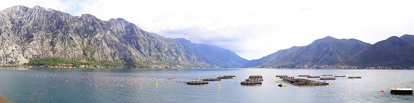 Image showing Aquafarming Montenegro