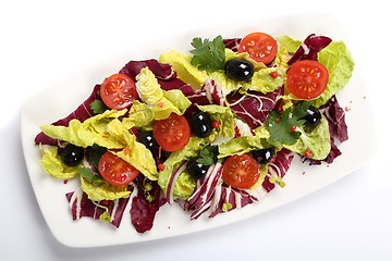 Image showing Salad with radicchio.