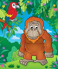 Image showing Orangutan theme image 2