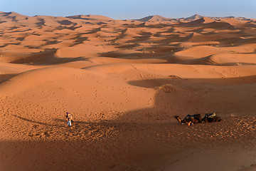 Image showing Camels at the dunes, Morocco, Sahara Desert