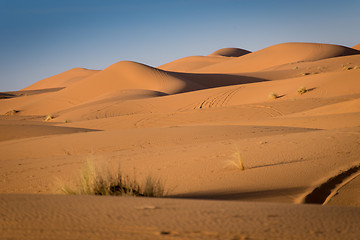 Image showing Dunes, Morocco, Sahara Desert