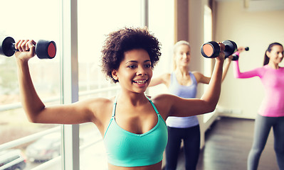 Image showing group of happy women with dumbbells in gym