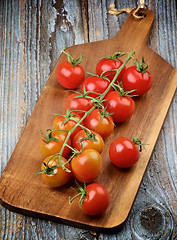 Image showing Branch of Cherry Tomatoes