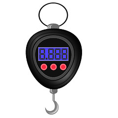 Image showing Digital Portable Weighing Scale